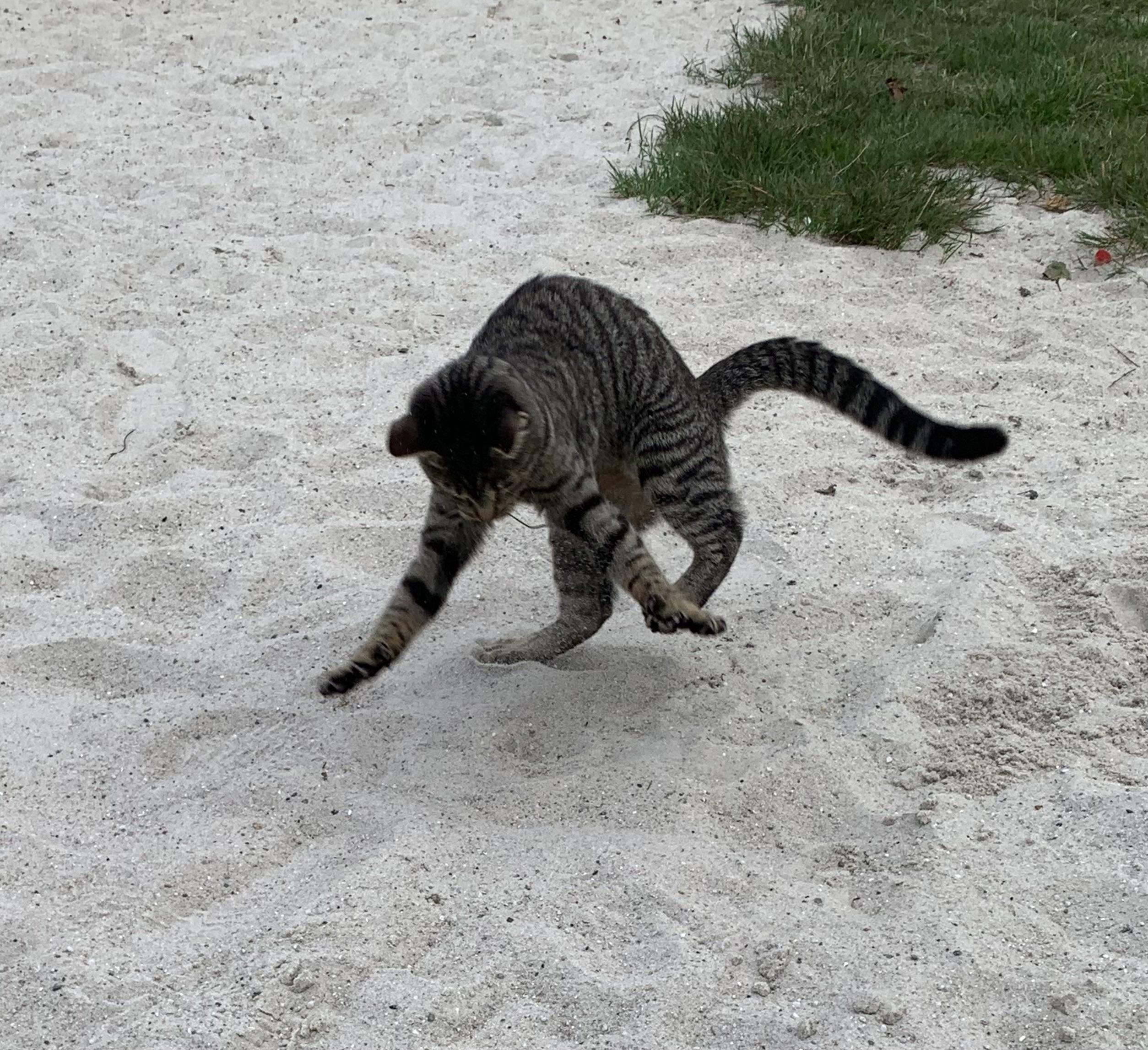 Hat sich da jemand erschreckt?