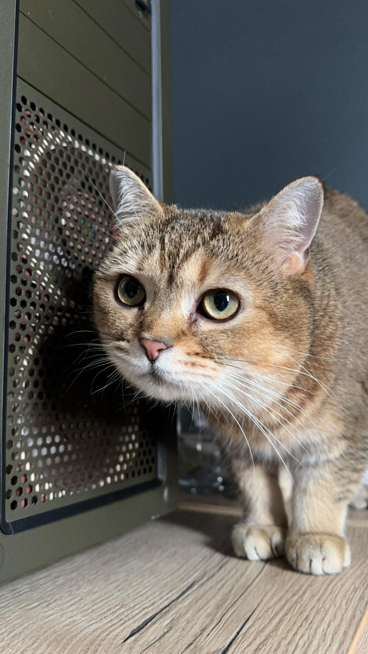 Techniker bei der Arbeit