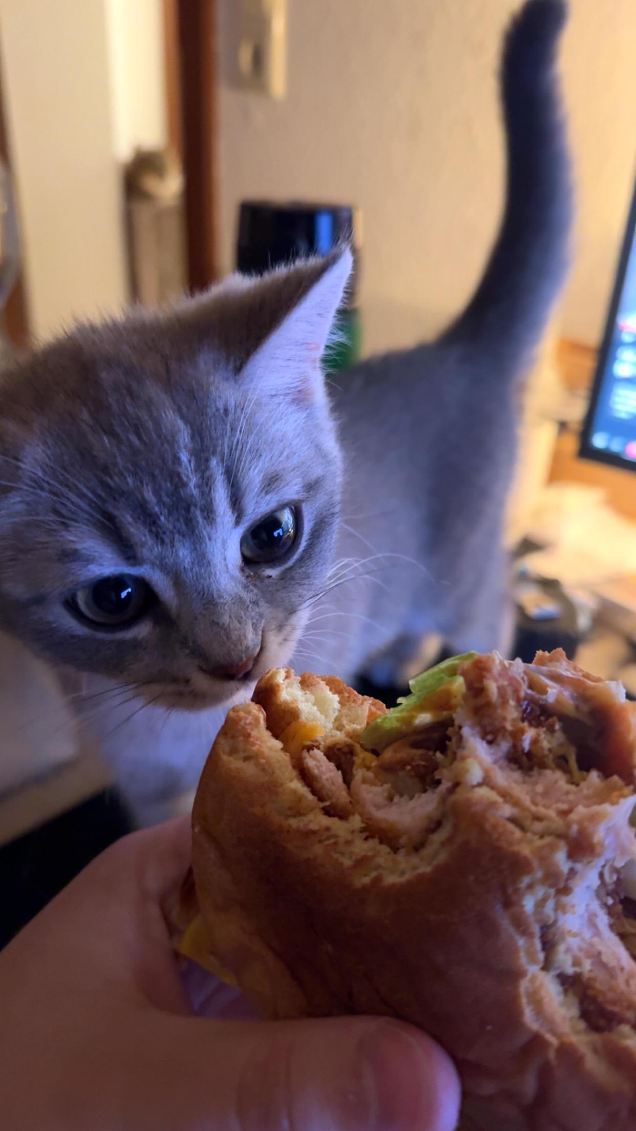 Gib mir was von dem geilen Burger ab