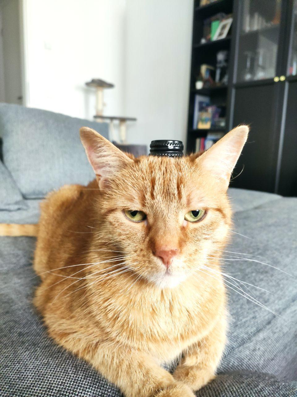 El Senior ist pissed